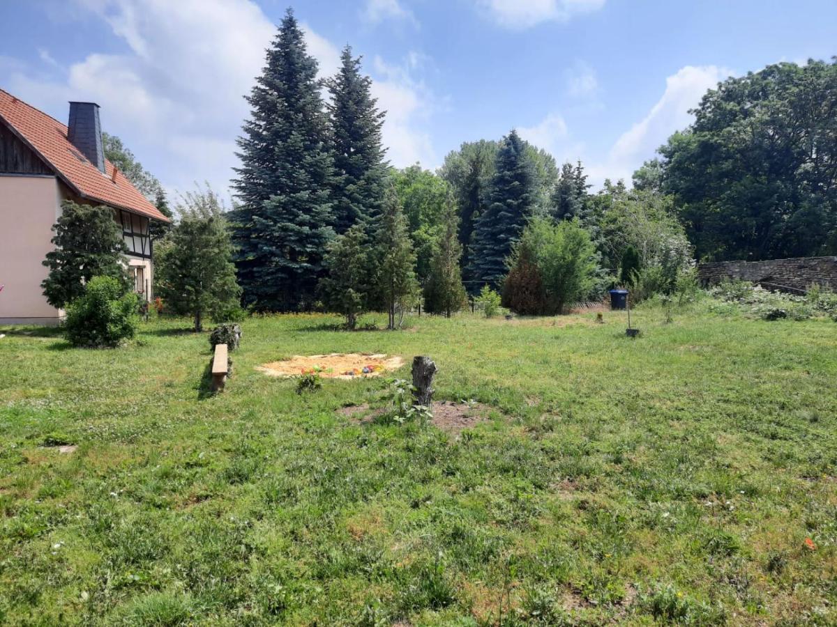 Villa Windschief Тале Экстерьер фото