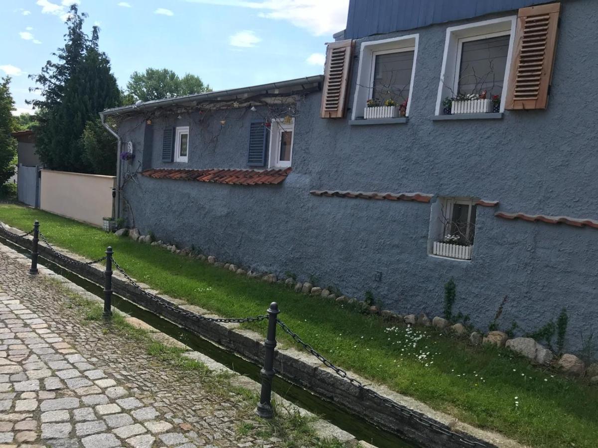 Villa Windschief Тале Экстерьер фото
